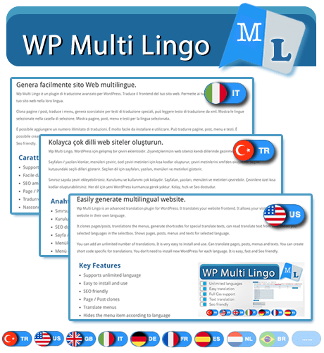 WP Multi Lingo - 1
